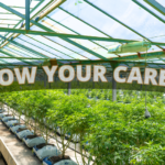 Job Openings at Choice Growers Cannabis in Strathmore, Alberta