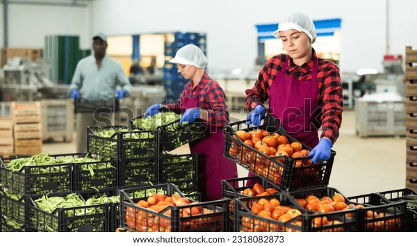Jobs Openings At Avina Fresh Produce Ltd – 28265 58 AveAbbotsford, BC V4X 2E8