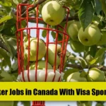 Opportunities for Visa Sponsored Fruit Picking Jobs in Canada